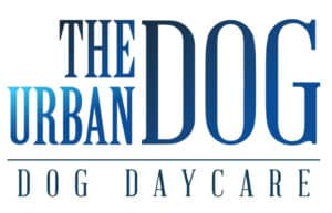 The Urban Dog