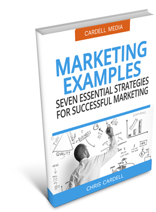 SUCCESSFUL INTERNET MARKETING EXAMPLES - SEVEN ESSENTIAL STRATEGIES FOR EFFECTIVE MARKETING